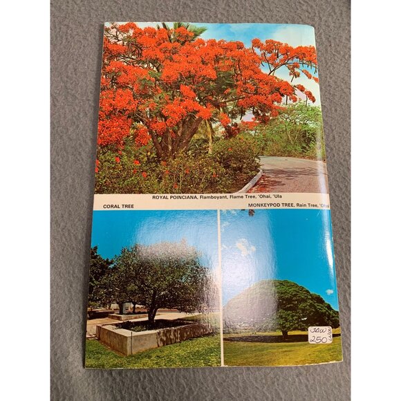 Hawaiis Flowering Trees Book by Doug Wallin Larry Witt - Guide To Tropical Trees - Picture 2 of 7